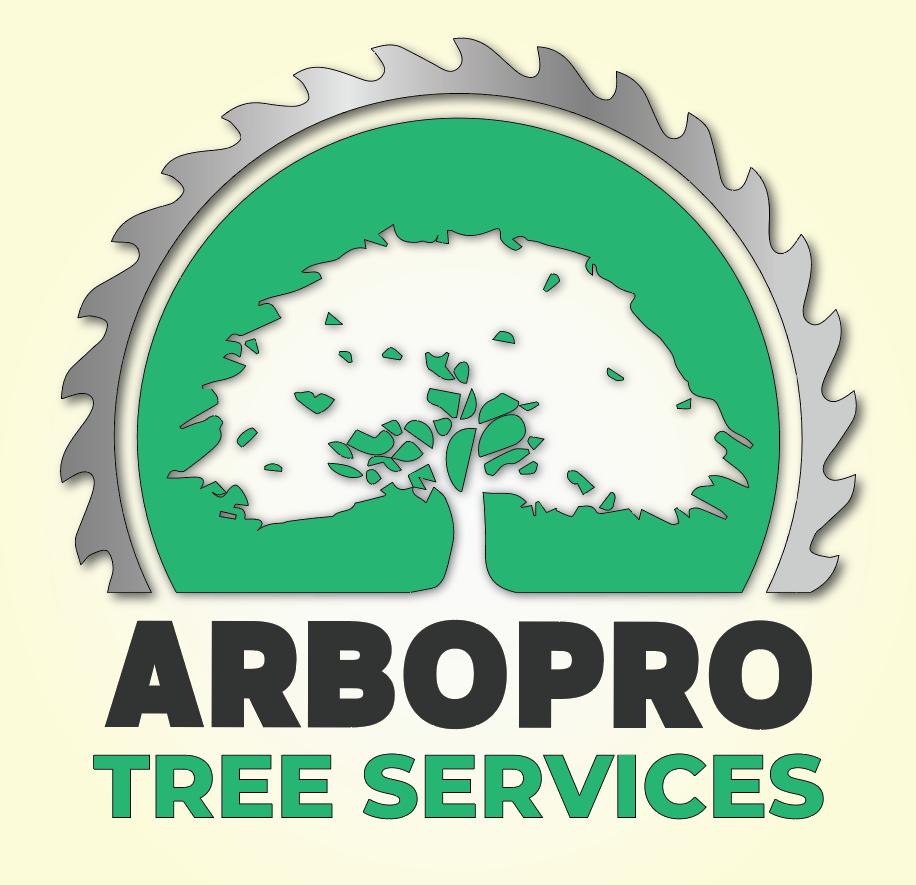 WhatsApp Image 2025-12-09 at 19.14.47